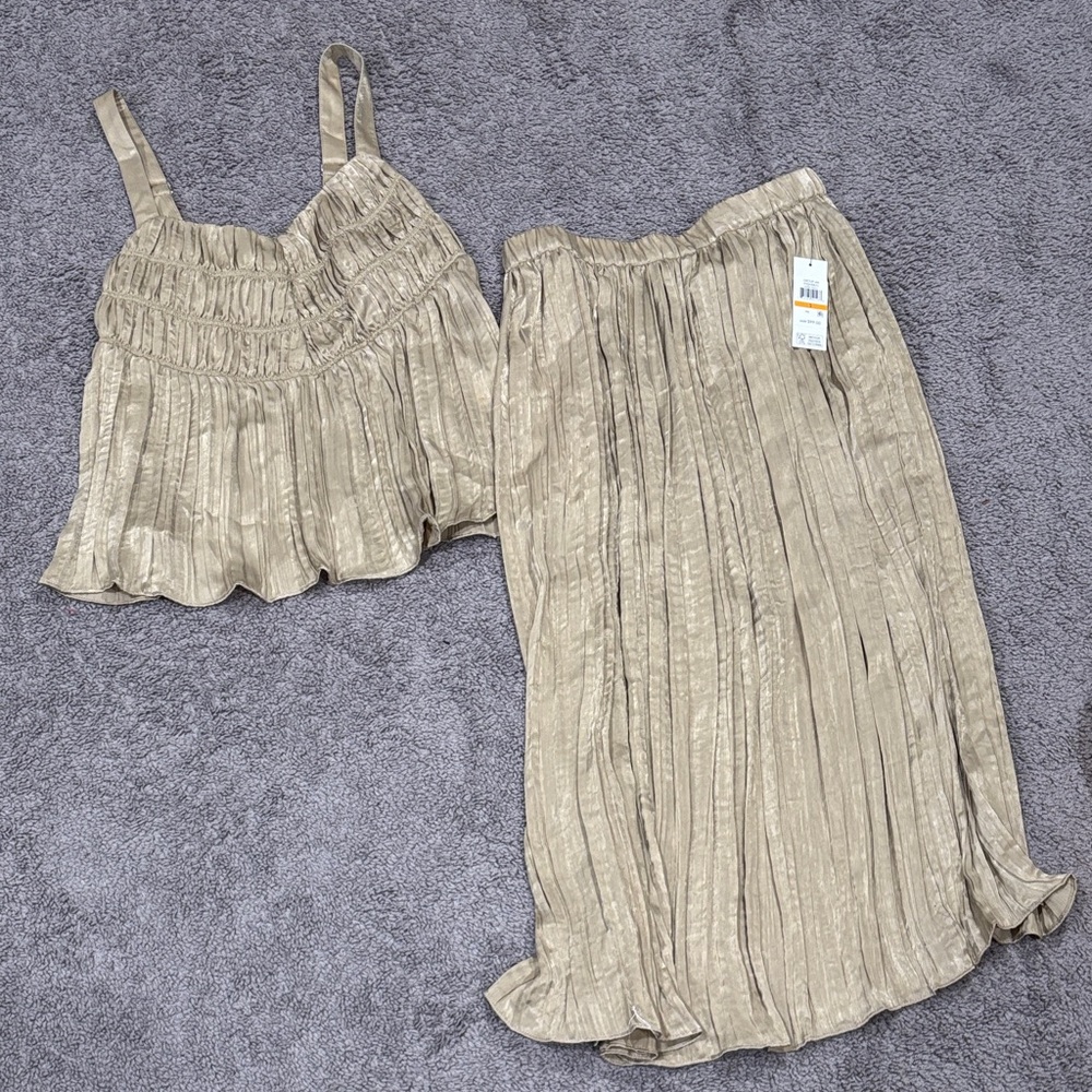 DKNY Metallic Taupe Pleated A-Line Skirt Set